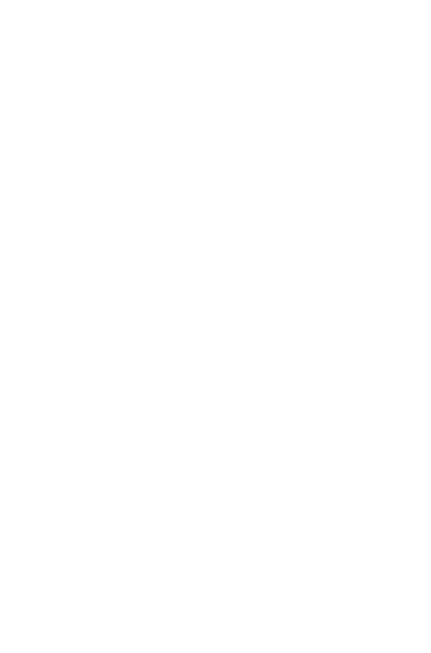 aircooling signature leggings - 09. 01